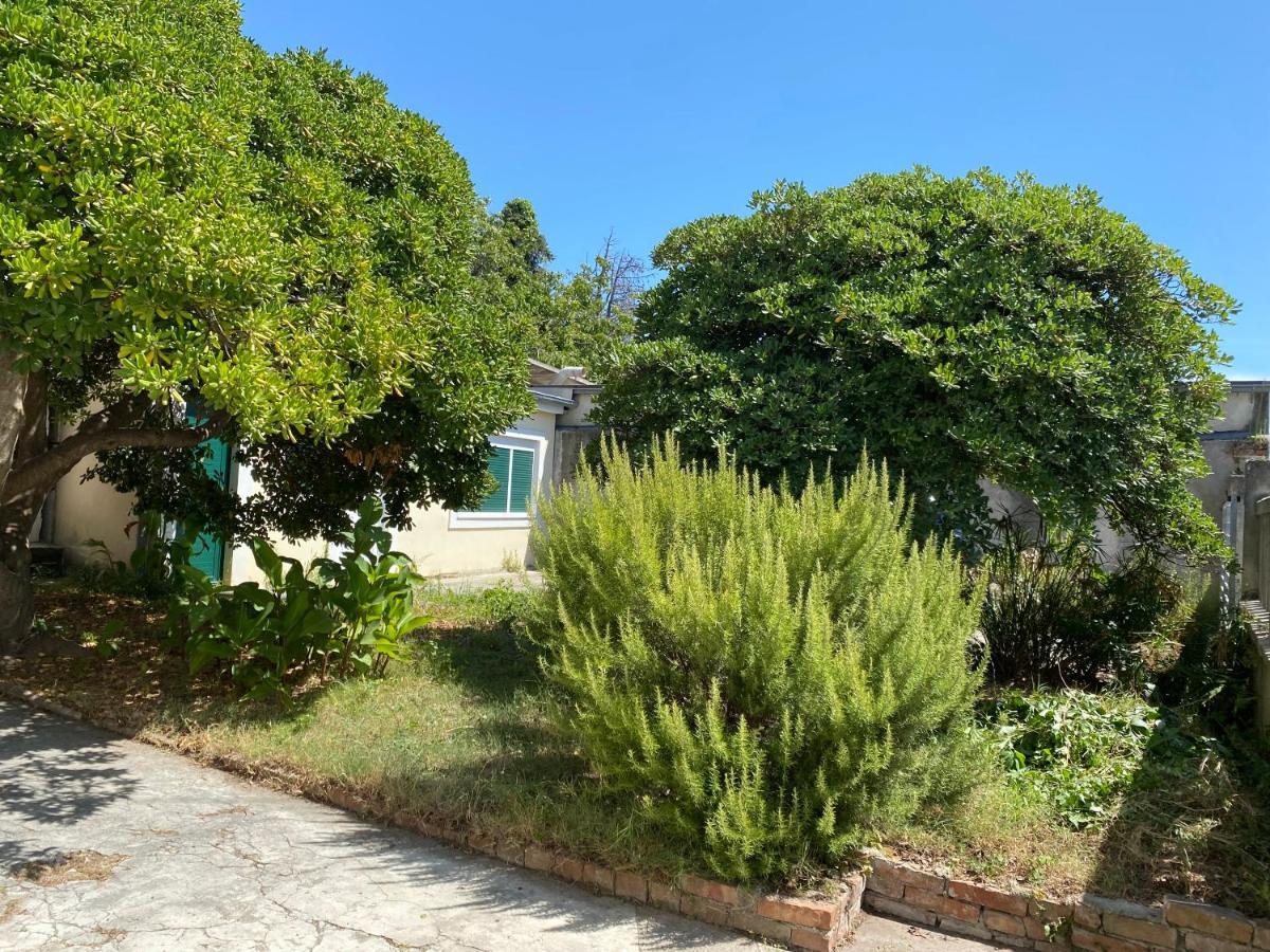 Ferienwohnung Zadar-City Εξωτερικό φωτογραφία