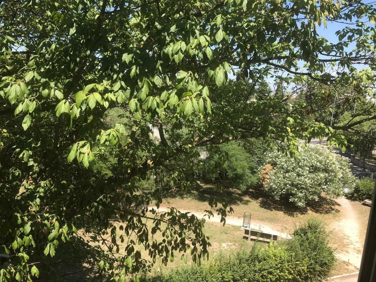 Ferienwohnung Zadar-City Εξωτερικό φωτογραφία