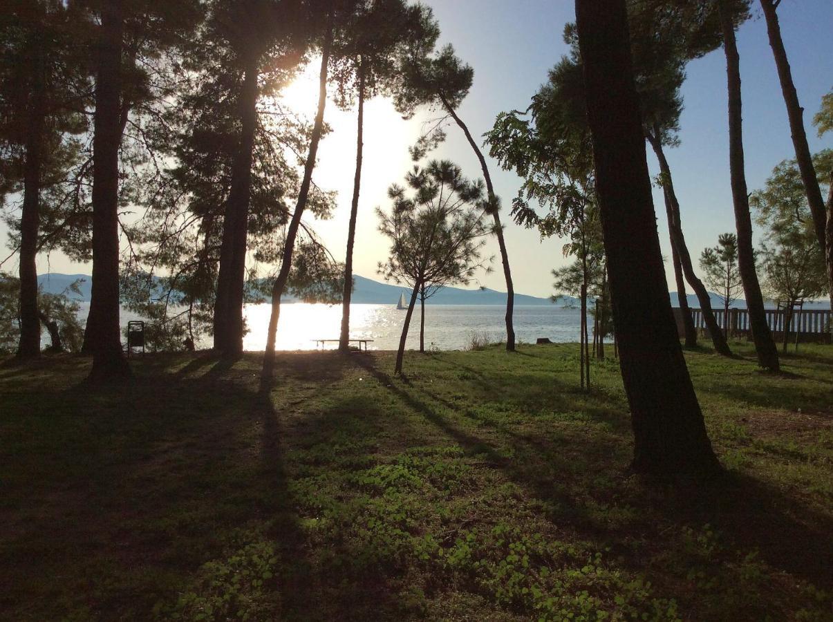 Ferienwohnung Zadar-City Εξωτερικό φωτογραφία